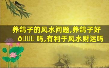 养鸽子的风水问题,养鸽子好 🐋 吗,有利于风水财运吗